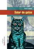 solar de gatos