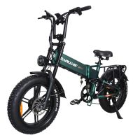 eu direct baolujie d2 bicicleta electrica bateria de 48v 20ah dos motores 48v 1000w2 velocidad maxima recomendada