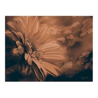 papel pintado 3d - gerbera en colores marrones 400x309 cm