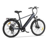 bicicleta electrica touroll j2 motor 250w 45nm bateria 5616wh autonomia 100km 7 velocidades shimano color gris