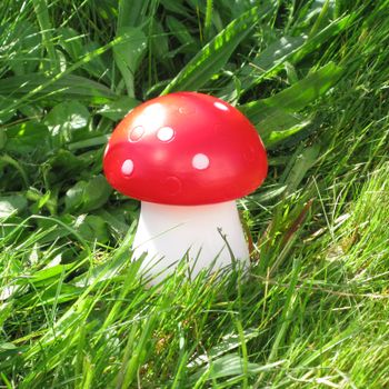 Toadstool Night Light LED