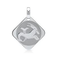 colgante de plata 925 signo zodiacal capricornio