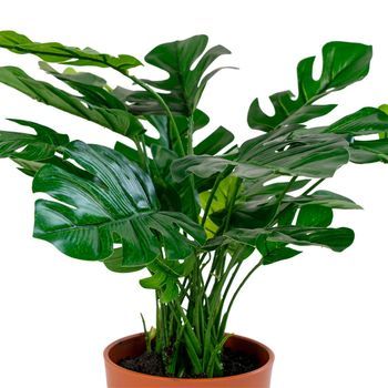 Monstera Deliciosa Artificial 45 Cm