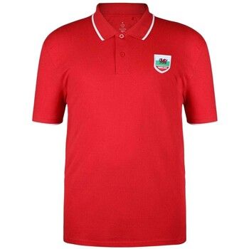 Fifa Polo GT20405 para hombre