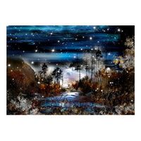 papel pintado 3d - noche en el bosque 350x245 cm