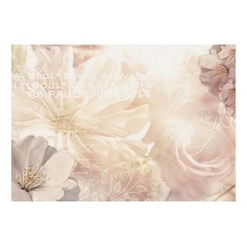 Papel Pintado 3d - Kiss Of Gentleness (400x280 Cm)