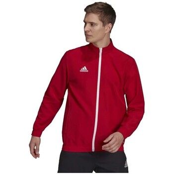 adidas Chaqueta deporte Entrada 22 Presentation para hombre