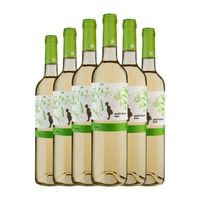 blanch i jove vino blanco petit sao blanc costers 75 cl 135 vol pack de 6 unidades