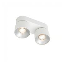 regleta de techo pitcher 2 luces