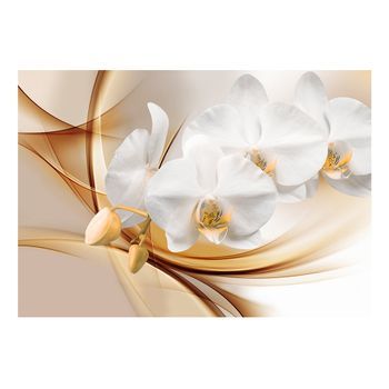 Papel Pintado 3d - Orchid Blossom (400x280 Cm)