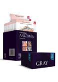 gray. flashcards de anatomía (4ª ed.)