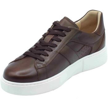 NeroGiardini Zapatos Bajos E500700U Delavato para hombre