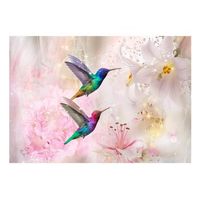 papel pintado 3d - colourful hummingbirds pink 200x140 cm