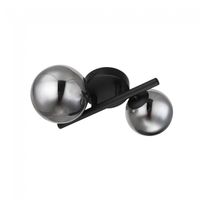 plafon de techo riha fume 2 luces