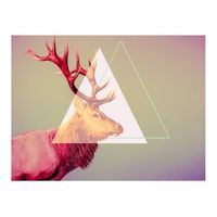 papel pintado 3d - deer graphic pattern 200x154 cm
