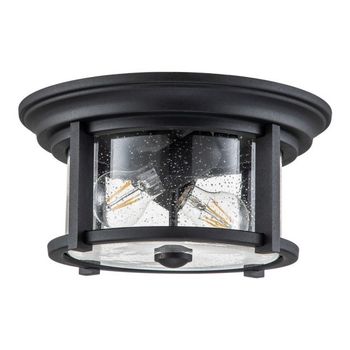 Plafón de techo merrill (2 luces)