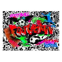 papel pintado 3d - football passion 300x210 cm