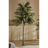 arbol pampas verde 200 cms 200 cms