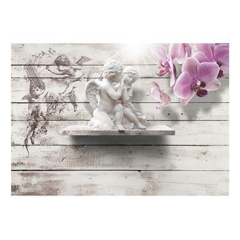 Papel Pintado 3d - Kiss Of An Angel (300x210 Cm)