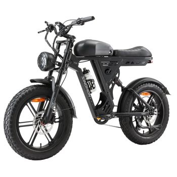 [EU DIRECT] SINOHON AB20 Bicicleta eléctrica 48V 18Ah 1000W Velocidad máxima 25 km/h Neumáticos gordos 20x4.0 Autonomía