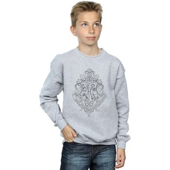 Harry Potter Jersey Hogwarts Draco Dormiens para niño