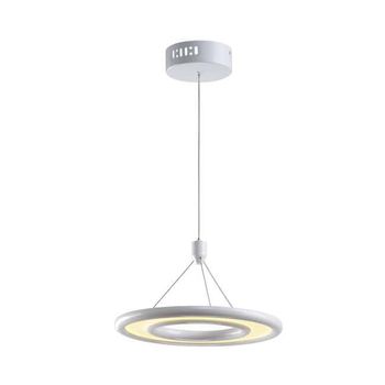 Lámpara de techo led endurance