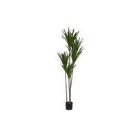 planta poliester pp 80x80x180 verde
