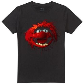 The Muppets Camiseta TV34997 para hombre