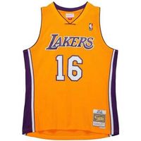 mitchell and ness zapatillas de baloncesto smjy7609-lal09pgaltgd para hombre