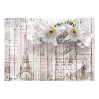 papel pintado 3d - parisian lilies 350x245 cm