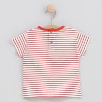 cotton fish camiseta 90682-child para nino