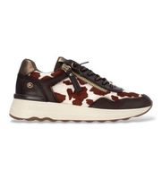 carmela para mujer 16436002-marron zapatillas de piel 164360 marron 39 3 a 5cm cordones casual