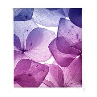 estoralis - estor enrollable translucido  estampado flores  150 x 180 cm anchoalto tamano tela 147 x 175 cm  f-1526 unico