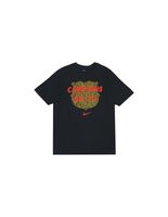 camiseta nike campeones barca 20092010