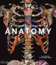anatomy: exploring the human body
