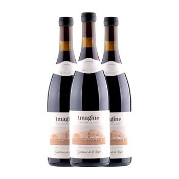 Gutiérrez De La Vega Vino Tinto Imagine Alicante 75 Cl 13% Vol. (pack De 3 Unidades)