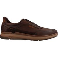 fluchos zapatillas f2511 vegabuck cafe para hombre