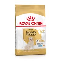 royal canin labrador retriever adult 5 - 12kg