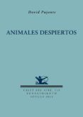 animales despiertos