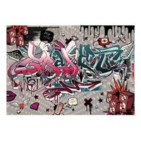 papel pintado 3d - grafiti rhola tu 300x210 cm