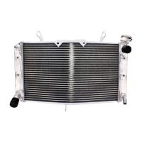 refrigerador motor yamaha fz1 1000 agua