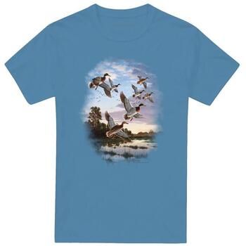 Wildlife Camiseta Evening Flight para mujer