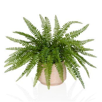 Planta Artificial / Planta En Maceta Proliferum Helecho 35 Cm Plástico Verde Hjh Office