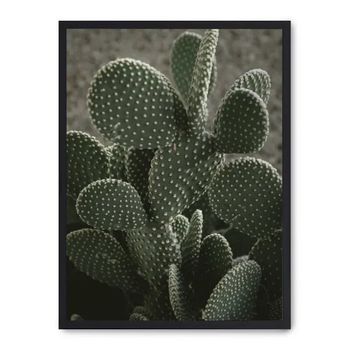 Cuadro Cactus Ii