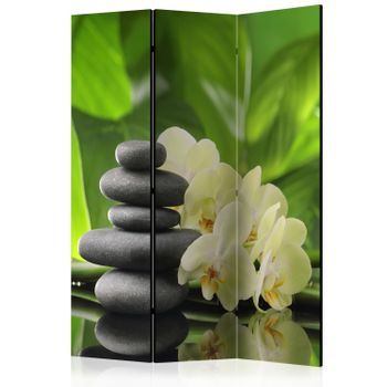 Biombo - Spa Garden (135x172 Cm)