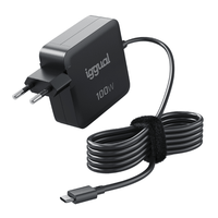 iggual cargador portatil y movil tipo c pd 100w