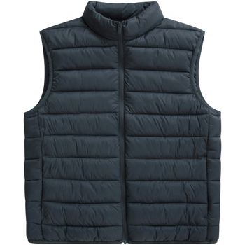 Animal Cazadora Light Cloud Cosi para hombre