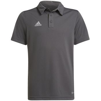 adidas Polo Polo entrada 22 100% polyester recyclé para hombre