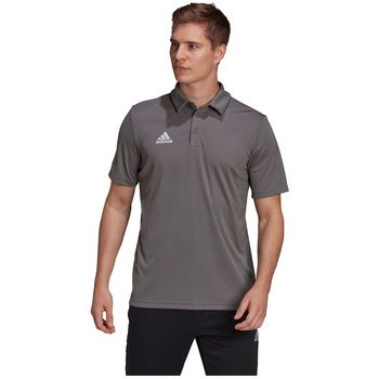 adidas Polo Polo Entrada 22 coton para hombre