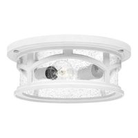 plafon de techo marblehead 2 luces